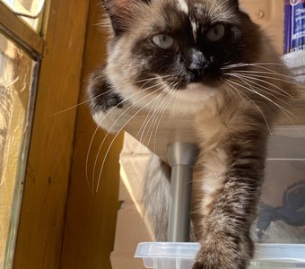 Мне сверху видно все ты так и знай