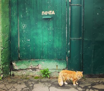 Для вас сегодня писем нет