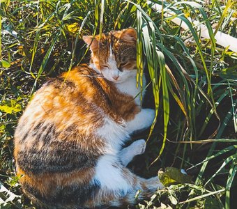 Моё первое лето :)