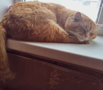 Самый старший