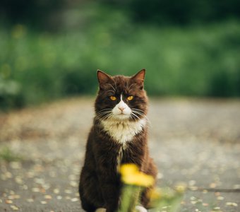 весна очень скоро