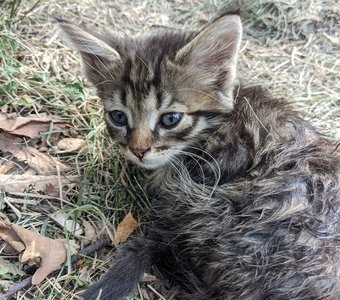 В горах Дагестана