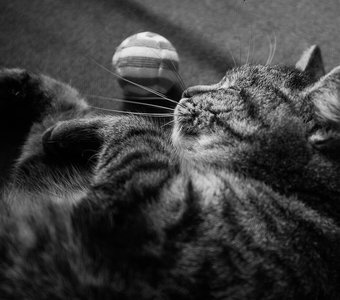 Жизнь все же хороша!