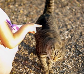 Стряхну весь груз своих забот!