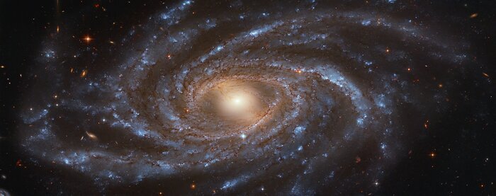 Фото: NASA / ESA / Hubble