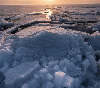 Знаки весны