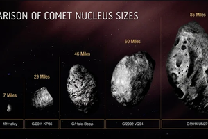 В NASA подтвердили размеры самой большой кометы в истории
