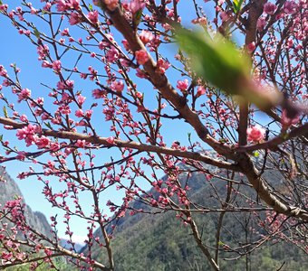 Весна в Краснодарском крае