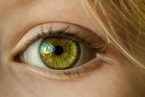 Как выявить отсутствие фантазии по глазам? Ученые нашли способ