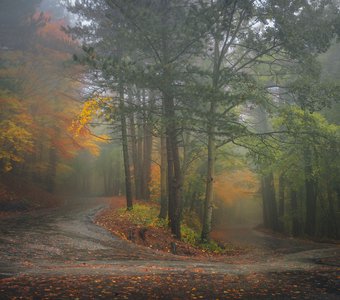 Дорогами осени