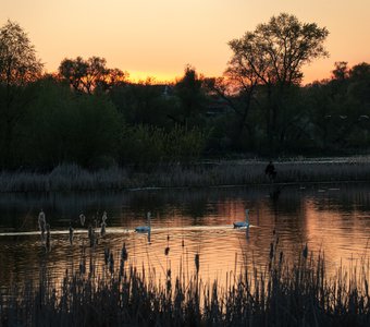Закат на лебедином озере