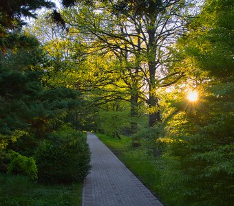 Весенний закат в парке