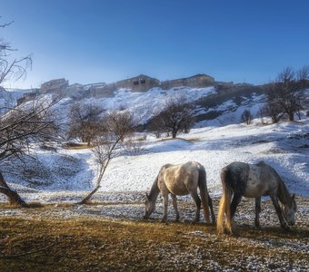 Дагестан. Аул Чох