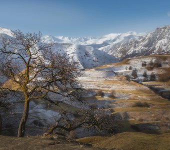 Террасы у аула Чох. Дагестан