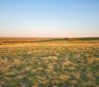 Предзакатная степь