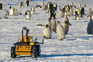 В Антарктиде за пингвинами следит вездесущий робот