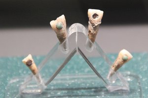 Зачем майя инкрустировали зубы драгоценными камнями?