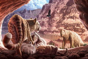 20 000 лет назад американский гепард погиб в пещере Гранд-Каньона. Его кости помогли сделать открытие