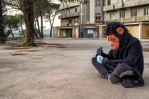Придет ли в Россию оспа обезьян и чем она опасна? Отвечает вирусолог