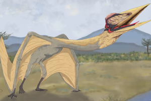В Аргентине нашли гигантского «дракона смерти»