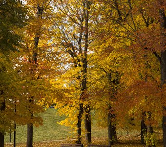 Торжок. Золотая осень в парке