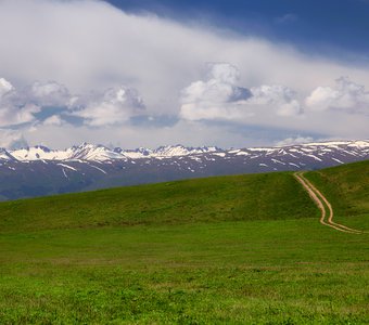 Сделай шаг, и дорога появится сама собой