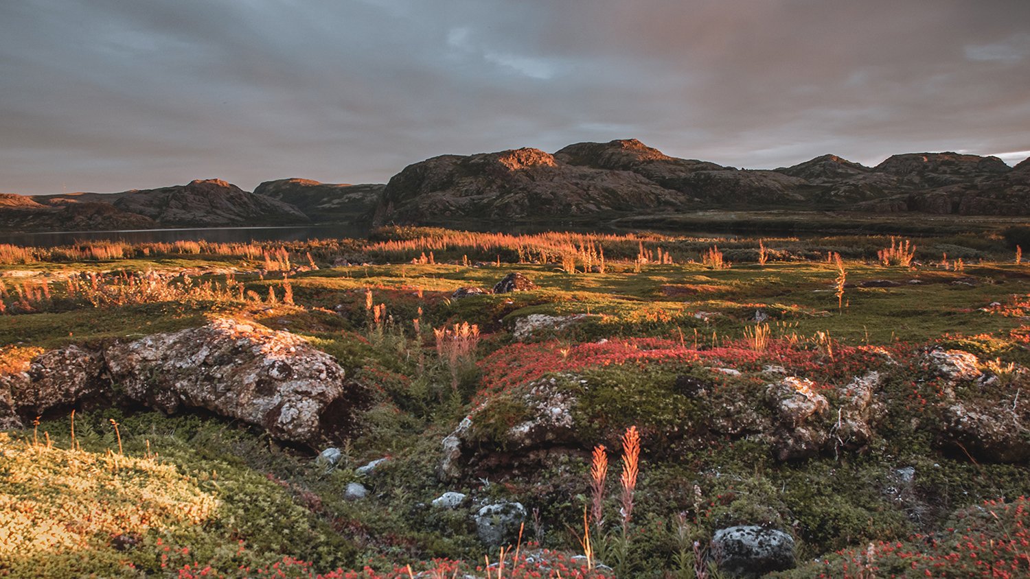Каменный пляж, Териберка