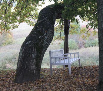 Пушкиногорье