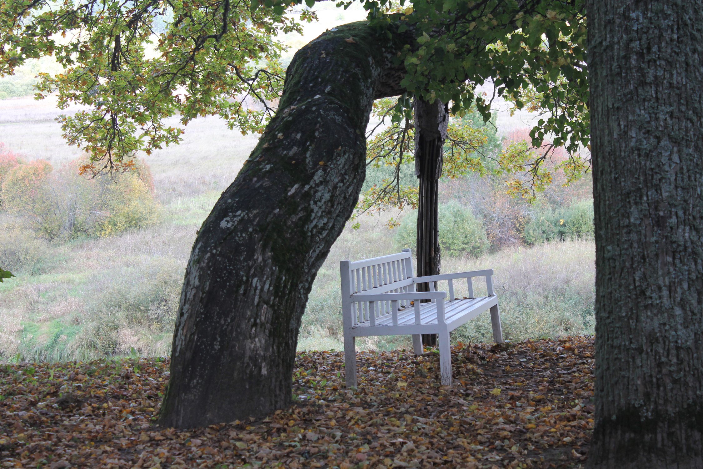 Пушкиногорье