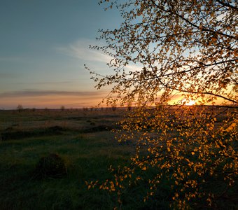 Майский рассвет