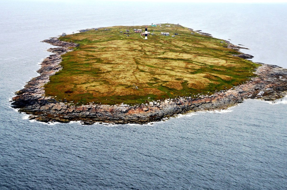 Остров сосновец в белом море фото