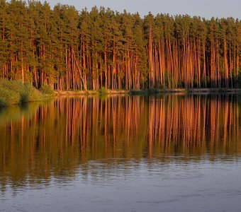 Летний вечер