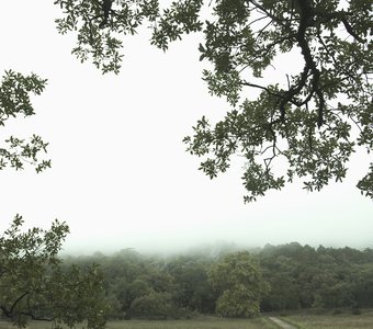 Массандровский парк