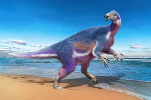 В Японии обнаружили нового динозавра с длинными когтями