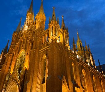 Собор непорочного зачатия в Москве