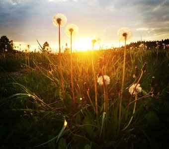 Дыхание вечера