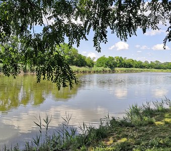 Краски лета