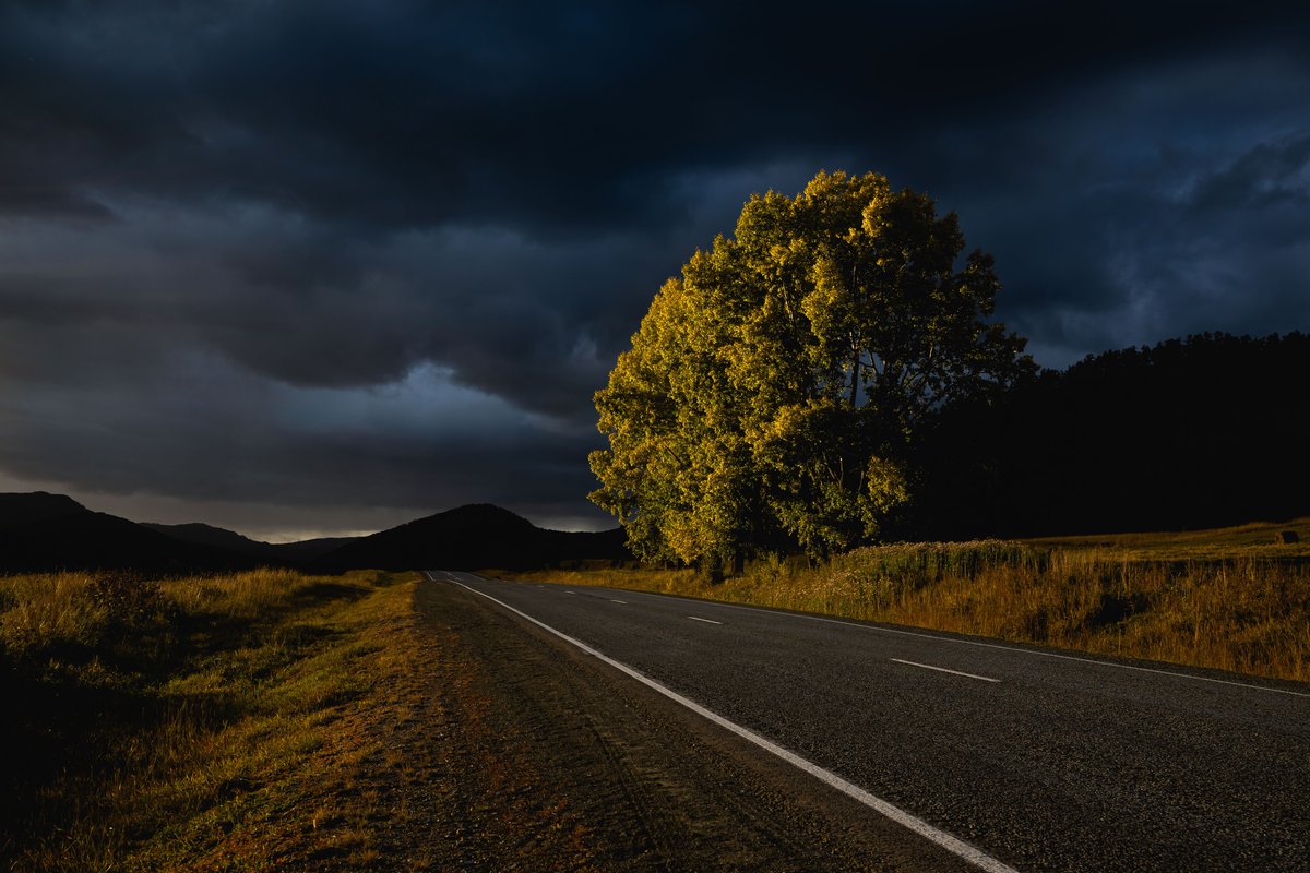 Чуйский тракт во время надвигающейся грозы — Фото №1406922