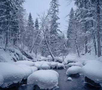 Утро на Прикше