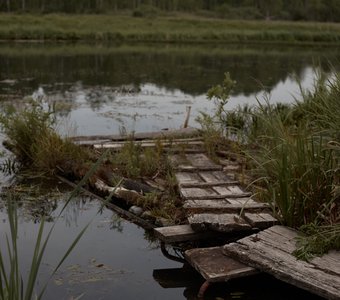 пруд в с.Кулига