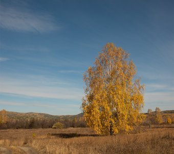 с.Синегорье