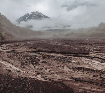 Высохшее русло