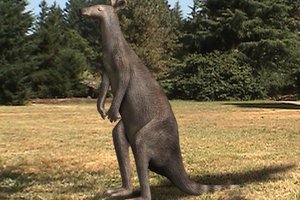Челюсти древнего кенгуру помогли палеонтологам совершить открытие