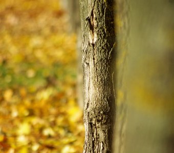 Несмотря на непогоду