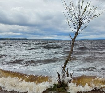 Шторм на озере