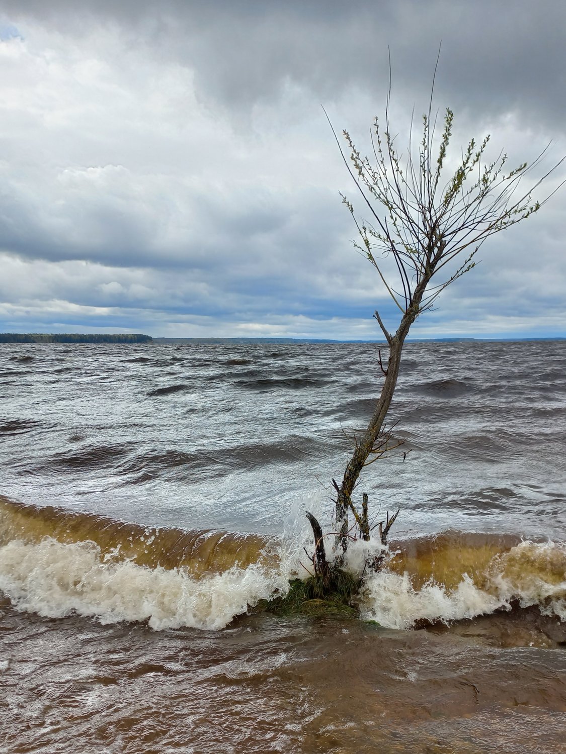 Шторм на Ладожском озере. Ладога озеро шторм. Шторм на Байкале. Волны на Ладожском озере самые большие. Шторма на озерах