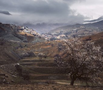 Аул Чох. Утро