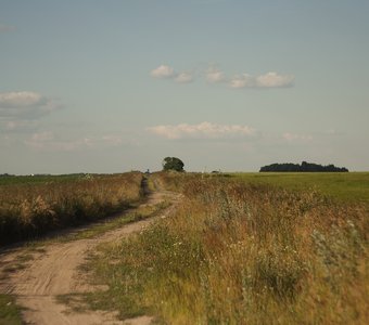 проселочная дорога