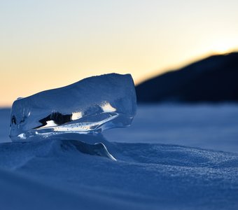 Застывший в движении