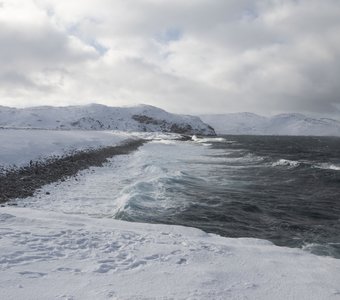 На берегу Белого моря